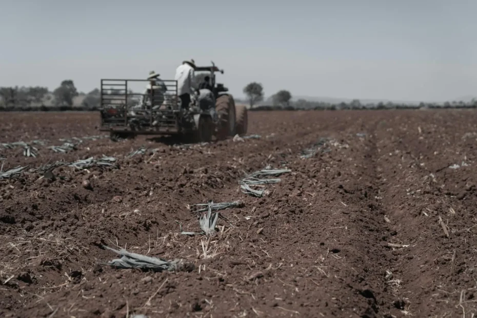 hebicida no campo